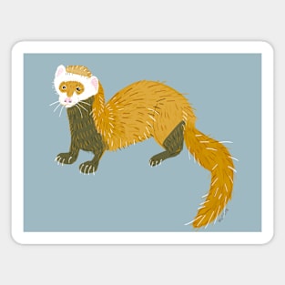 Happy National Ferret Day #4 Ferret lovers Magnet